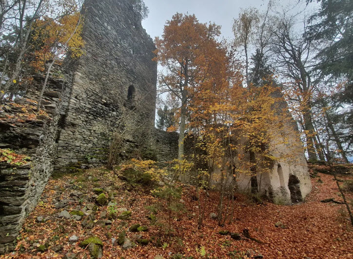 Burgruine Hohenwart, Köstenberg, Austria, Austria